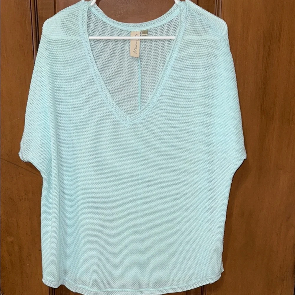 Allison Joy EVEREVE Light Blue V-Neck Top sz Large - Picture 1 of 5